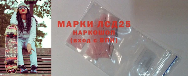 стафф Арсеньев